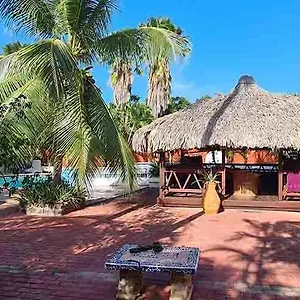 Frühstückspension Woodstock Palmresort Curacao, Willemstad